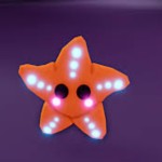 Starlight_Starfish