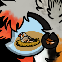 Thumbnail for TERRA-538: Zebra Finch